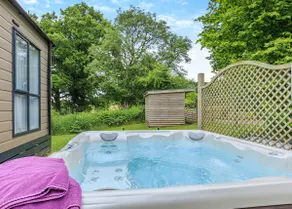 Symphony 3 Hot Tub Pet - Image 2