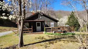 Rustic Mountain Cabin with a modern twist. - Image 2