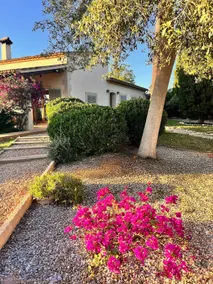 Stunning country villa w/ Panoramic mountain views - Image 3