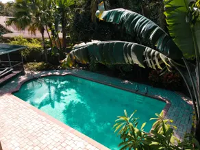 Orlando Tropical Oasis - Image 3