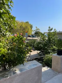 Anticlea - Image 3
