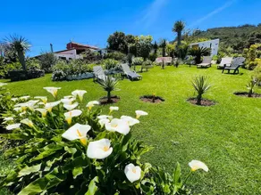 LAZARO'S HOUSE IN THE ANAGA HILLS - Image 3