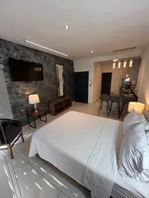 Ideal refuge apartment near IMSS, ISON Nainari #2 - Image 2