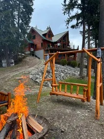 Mara Lakefront Cabin- A Year Round Mountain Escape - Image 5