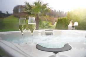 SAN REMY - privat&zentral CH/family&pets/whirlpool/natur - Image 2