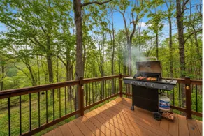 Bring the Dog, follow trails, unwind by the Creek - Image 4