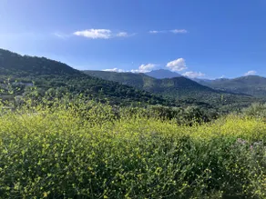 Bella Vista - Image 5