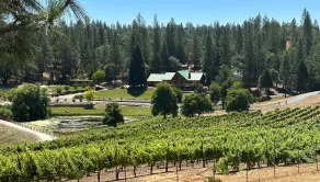 Live Yellowstone with a winery! - Image 5