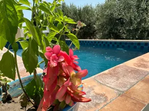 DAR AZAIEZ El Haouaria Villa 4 Chambres climatisé belle piscine - Image 4