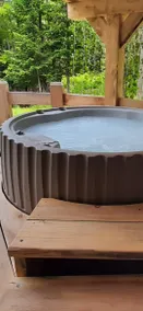 Mountain chalet, hot tub, private property, and lake - Image 4