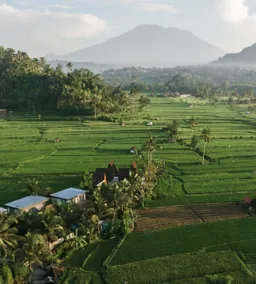 Kudus Hut - Sidemen Private pool & ricefield view - Image 5