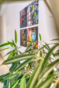 Apartment in St Julians - Image 5