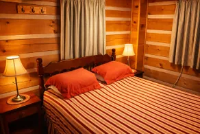 Cabin -Snowshoe / Marlinton / Greenbrier trail - Image 5
