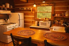 Cabin -Snowshoe / Marlinton / Greenbrier trail - Image 4