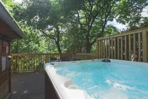 Fern Gully Lodge with Hot Tub - Spa Resort - Devon - Image 3