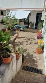 La voliera, central apartment - Image 2