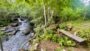 100-year-old idyllic setting for slow living & sauna – breakfast – - Image 2