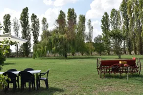 Villa i Cipressi B&B, 7 beds for relaxation + Pool - Image 2