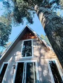 The Lazy Bear Lodge - Image 2