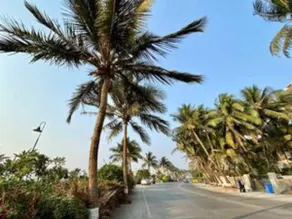 ✪Quiet Bandra 3 bedroom ✪Balconies✪Walk to Ocean✪ - Image 4