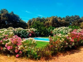Casa Valdevientos · Finca Privada en Sierra Morena - Image 2