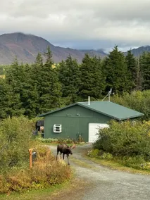 Denali View! Sauna! 1 mile to Glen Alps/Flattop TH - Image 4