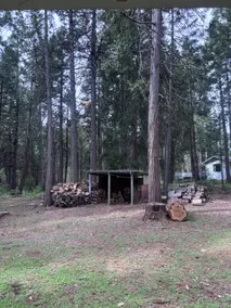 Spacious 3 bedroom house among the trees - Image 4
