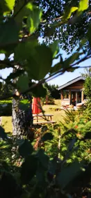 Very cozy eco-friendly cottage in the heart of nature - Image 3