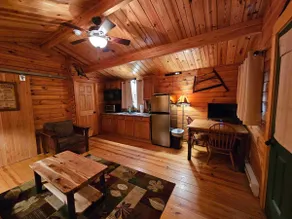 Maple Leaf Charming log cabin in the woods UPGRADED WITH FIBER OPTIC INTERNET - Image 5