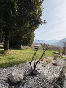 Villa Magnolia Oliveti | View and absolute privacy - Image 5