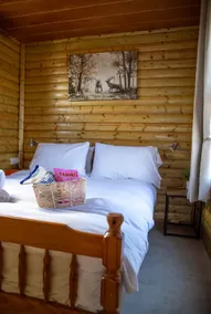 Cosy cabin by the Sea + wifi + Dog friendly - Image 5
