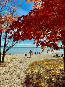 Private BeachM22! Close to wineries, Sand Dunes - Image 1