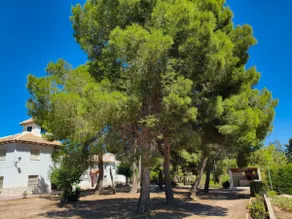 The Villa Del Pistacho - Image 2