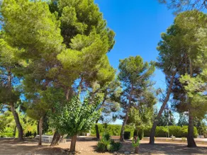 The Villa Del Pistacho - Image 4
