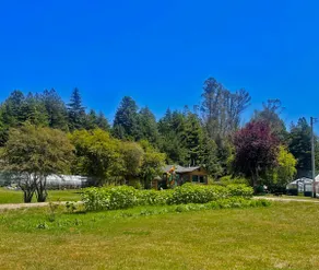 Stylish Farmhouse on Cannabis Farm - Cabin Feel - Image 4