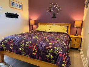 Bright Modern Suite Fully Supplied Central & Quiet - Image 4