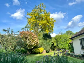 Garden retreat Stunning countryside Wild swimming. - Image 3