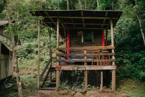 Fogo Cabin | Panoramic View of Mountains and River - Image 2
