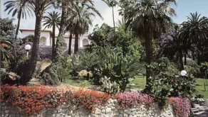 Home holiday Luana, Sanremo. - Image 3
