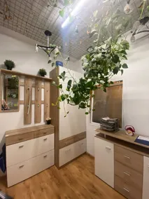 Jungle Apartment in Vienna Self Check-in - Image 3