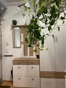 Jungle Apartment in Vienna Self Check-in - Image 4