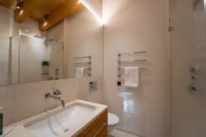 4 Bedroom Penthouse Apt in Flims Waldhaus - Image 4