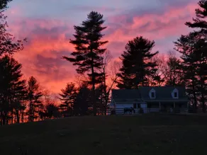 Serene 1-bedroom suite on 75 acre horse property - Image 2