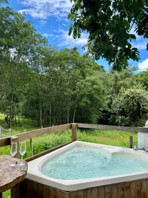 South Carolina Cabin - Image 3