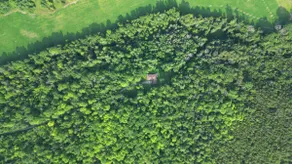 40-Acre Estate | Sleeps 10 | Firepit+Trails - Image 3