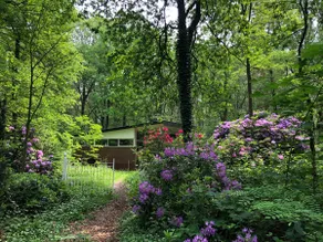 Tiny forest cabin with wood stove - Image 2