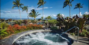 Pineapple Paradise in Hali'i Kai Waikoloa, Hawaii - Image 3
