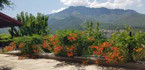 House Andrea - Image 5