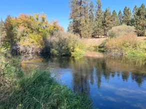 Peaceful Riverside Getaway | Spa, Trails & Views - Image 3
