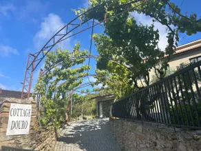Valadouro Cottage Douro Vallée with a Pool - Image 3